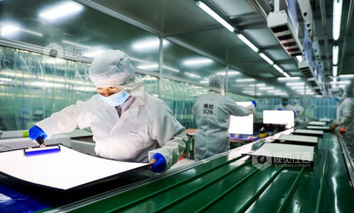 江西瑞昌 科技產品訂單旺，細胞技術研發和應用駛入快車道